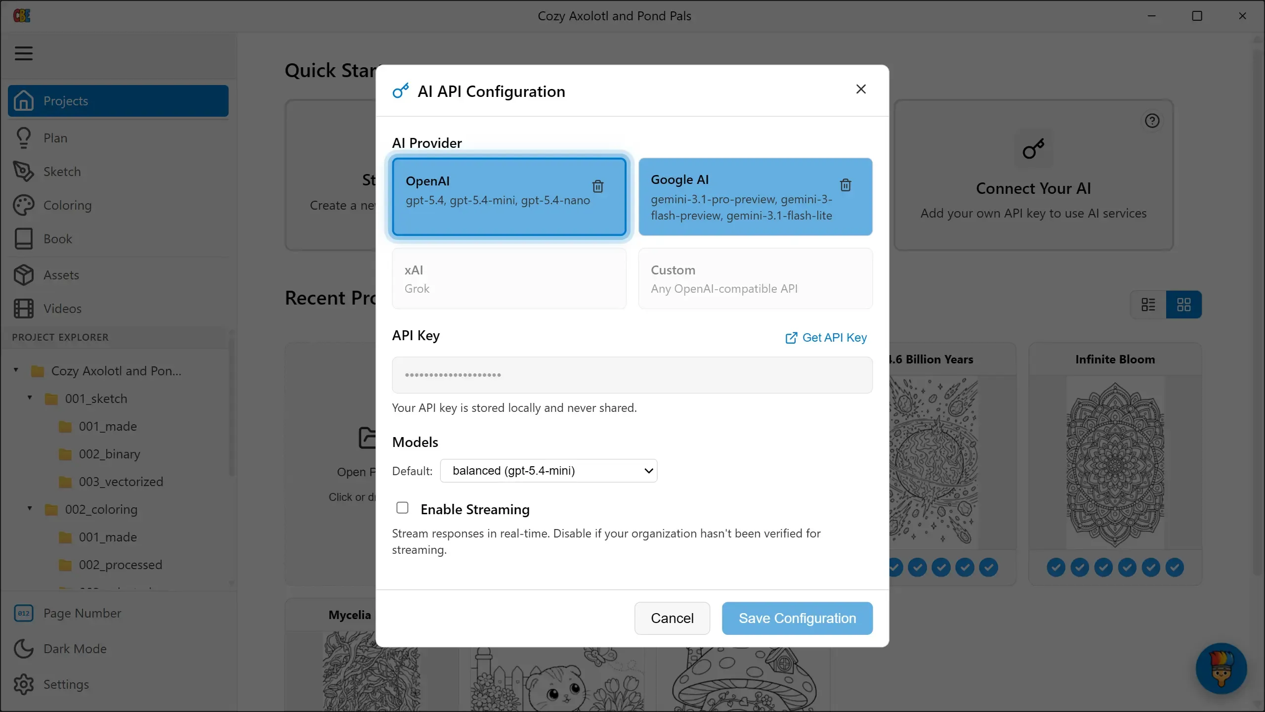 The AI API Configuration dialog with provider cards and the API key field